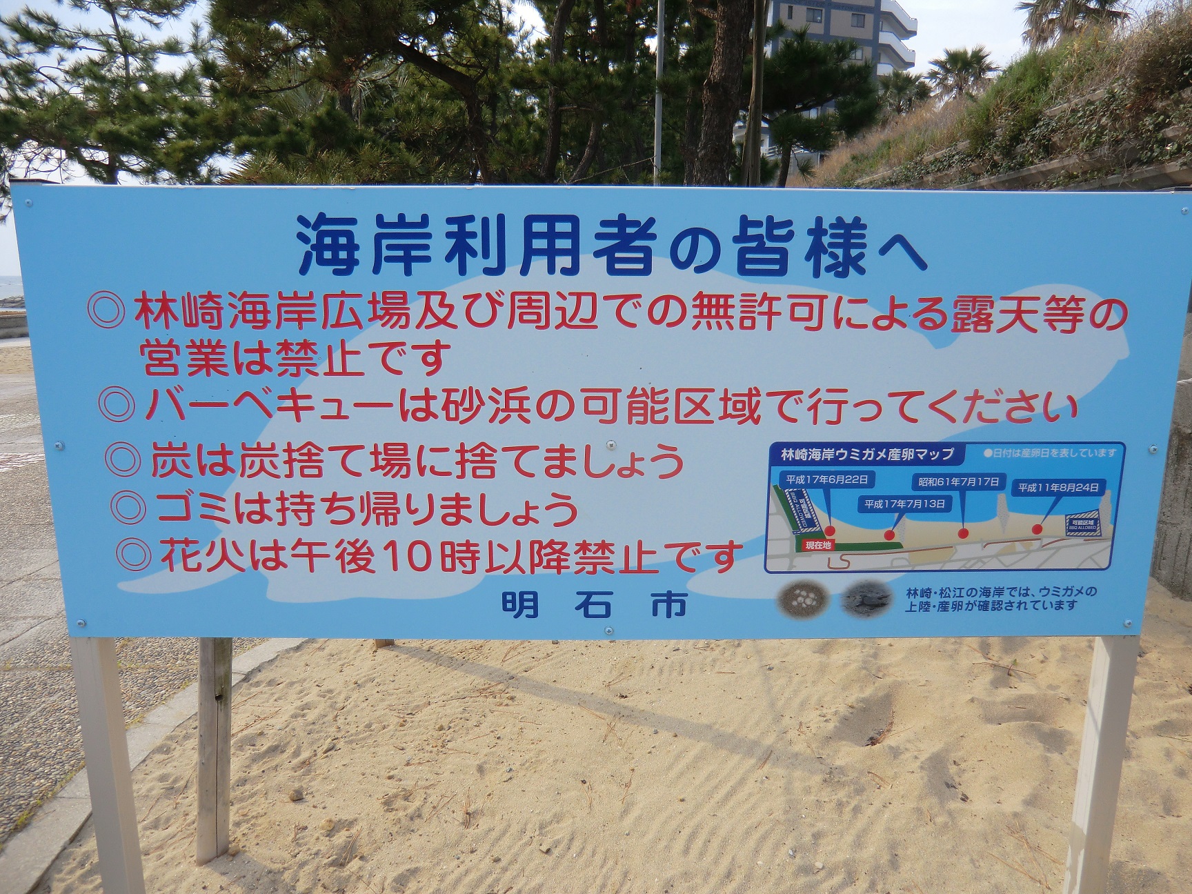 林崎松江海岸　ウミガメの産卵場所