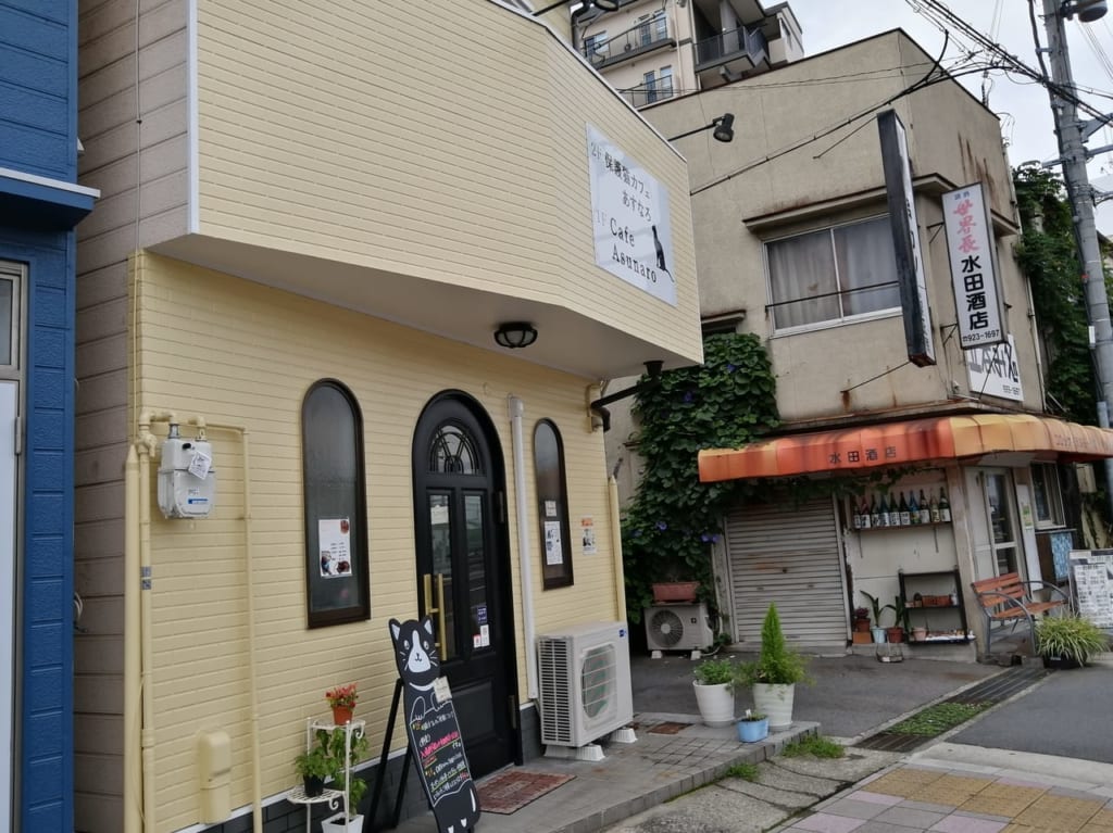 保護猫カフェあすなろ