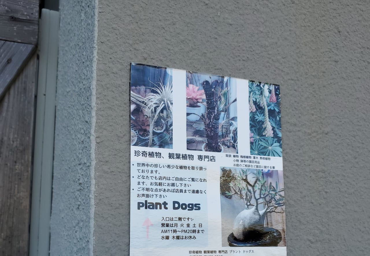 plantdog