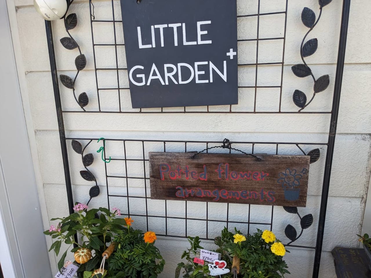 littlegarden