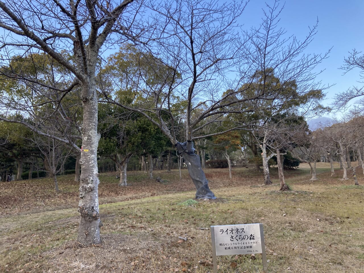 石ヶ谷公園