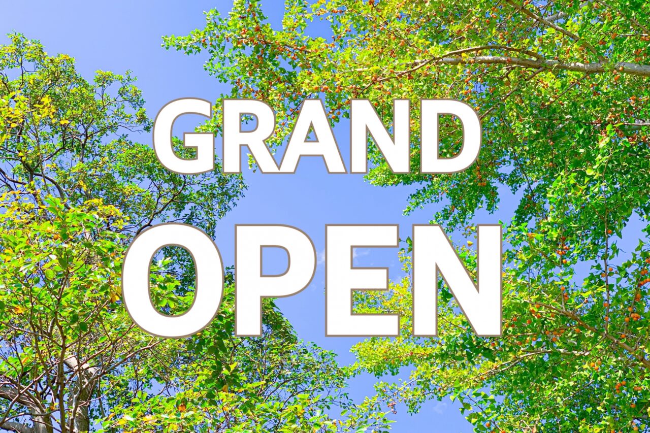 OPEN