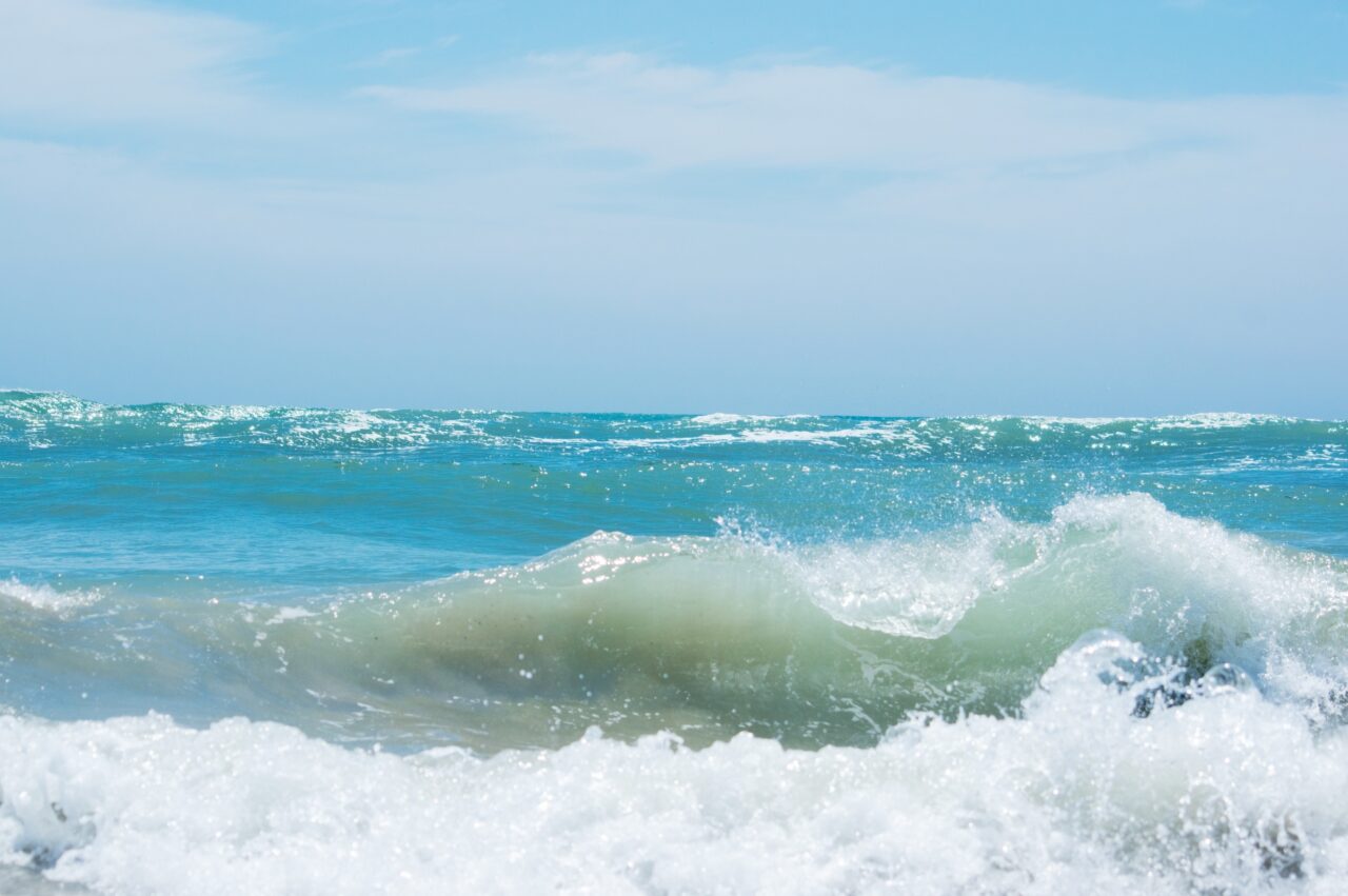 夏